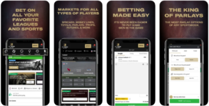 BetMGM App